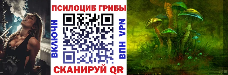 где купить наркоту  Слободской  Псилоцибиновые грибы Cubensis 